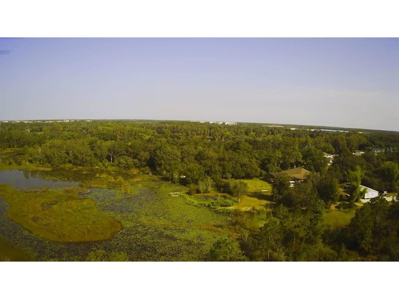 14913 Arrena Road Winter Garden FL 34787 P4926807 image4