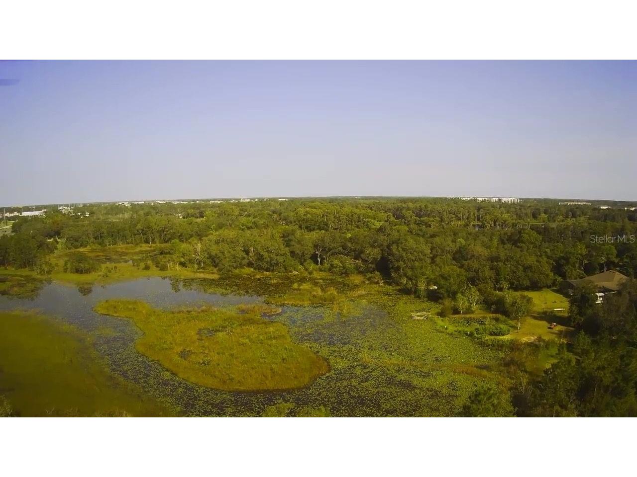 14913 Arrena Road Winter Garden FL 34787 P4926807 image5