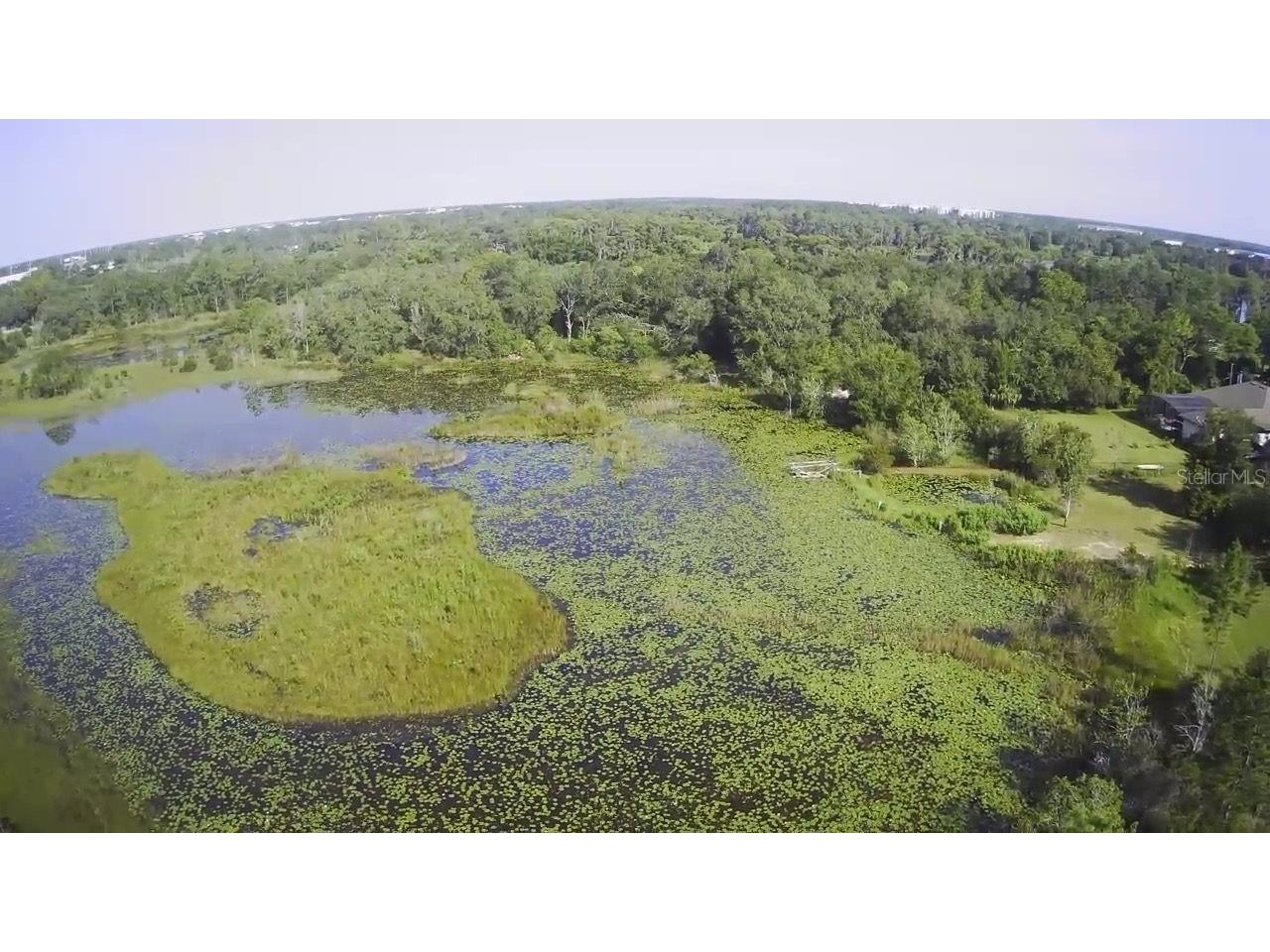 14913 Arrena Road Winter Garden FL 34787 P4926807 image6