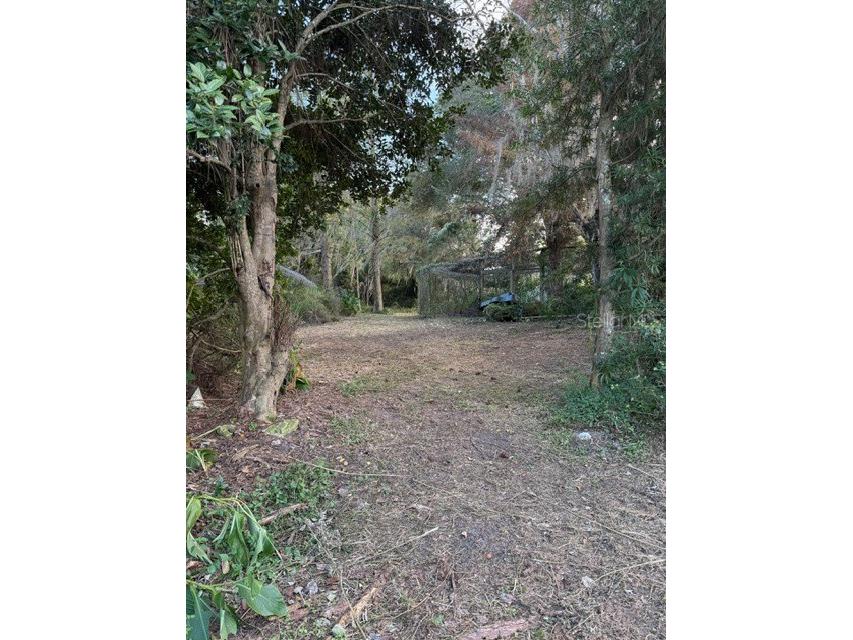 14914 SE 56th Avenue Summerfield FL 34491 OM712831 image10