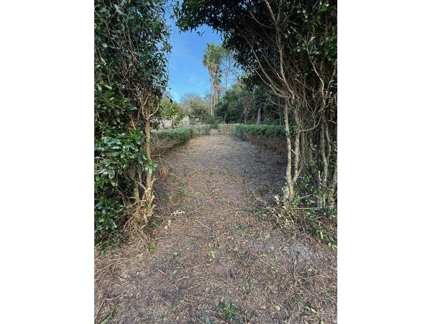 14914 SE 56th Avenue Summerfield FL 34491 OM712831 image11