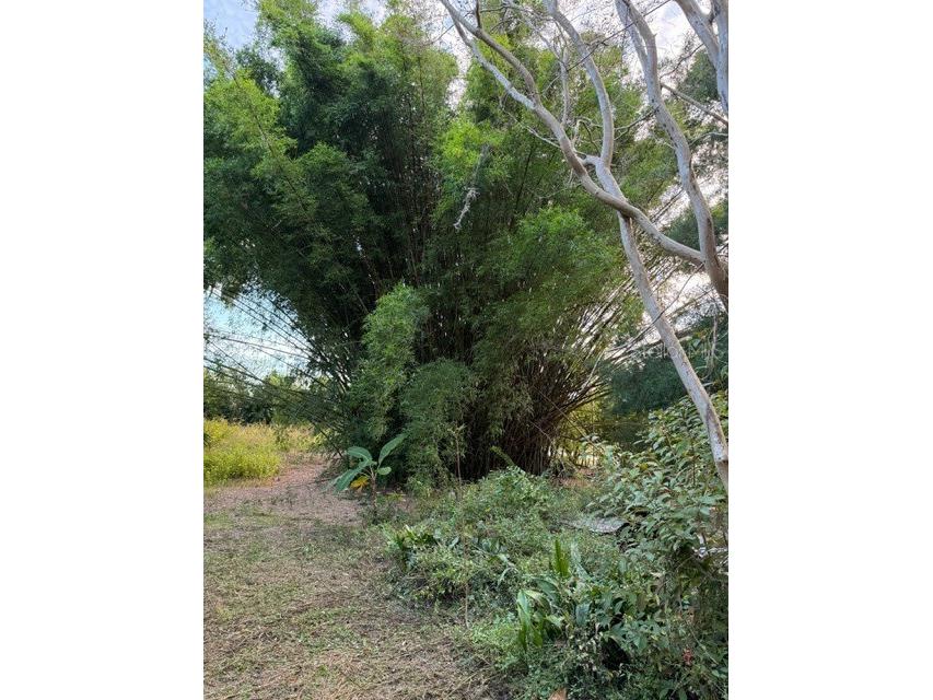 14914 SE 56th Avenue Summerfield FL 34491 OM712831 image12