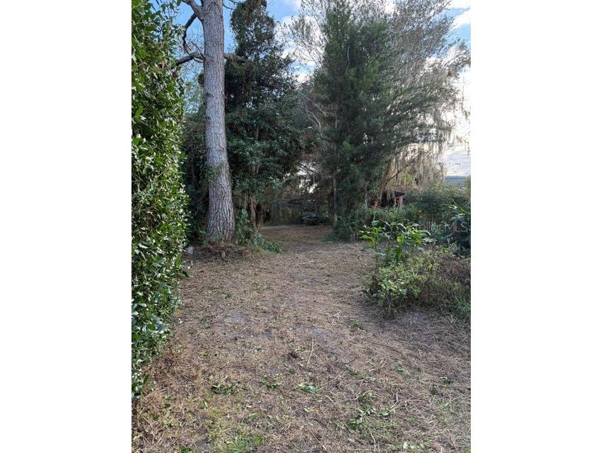 14914 SE 56th Avenue Summerfield FL 34491 OM712831 image13