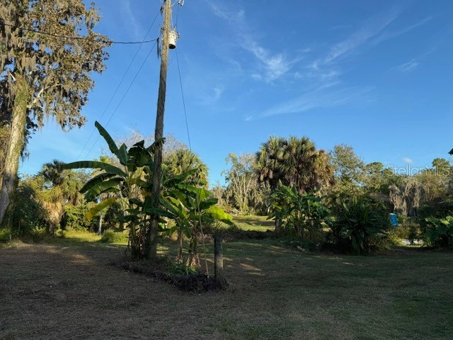 14914 SE 56th Avenue Summerfield FL 34491 OM712831 image5