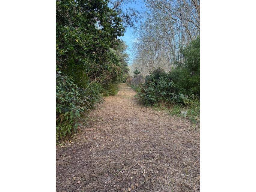 14914 SE 56th Avenue Summerfield FL 34491 OM712831 image6