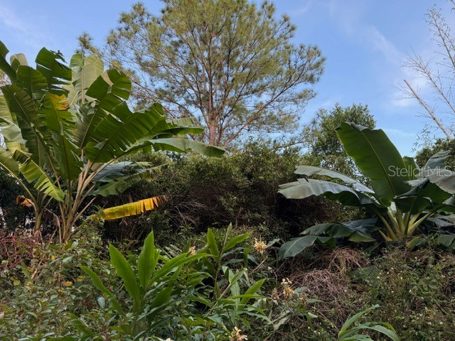 14914 SE 56th Avenue Summerfield FL 34491 OM712831 image9