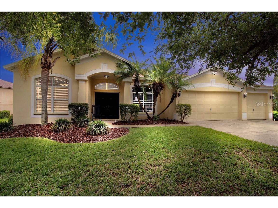 14915 Heronglen Drive Lithia FL 33547 T3537476 image1