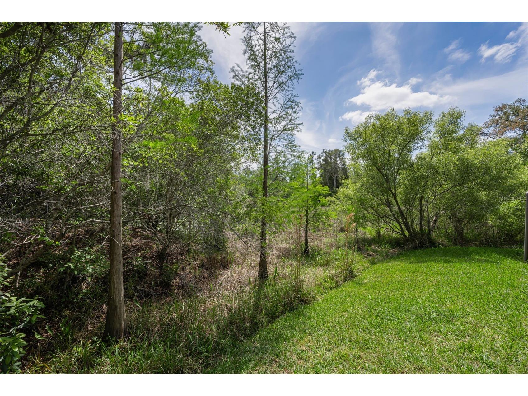 14915 Smitter Reserve Drive Tampa FL 33618 TB8497361 image52
