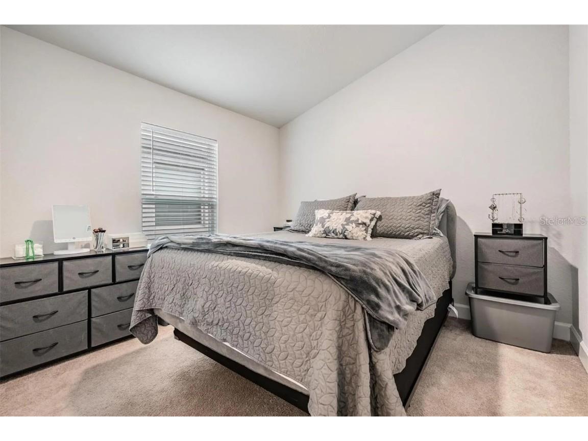 14916 Imperial Purple Lane Wimauma FL 33598 S5134965 image3