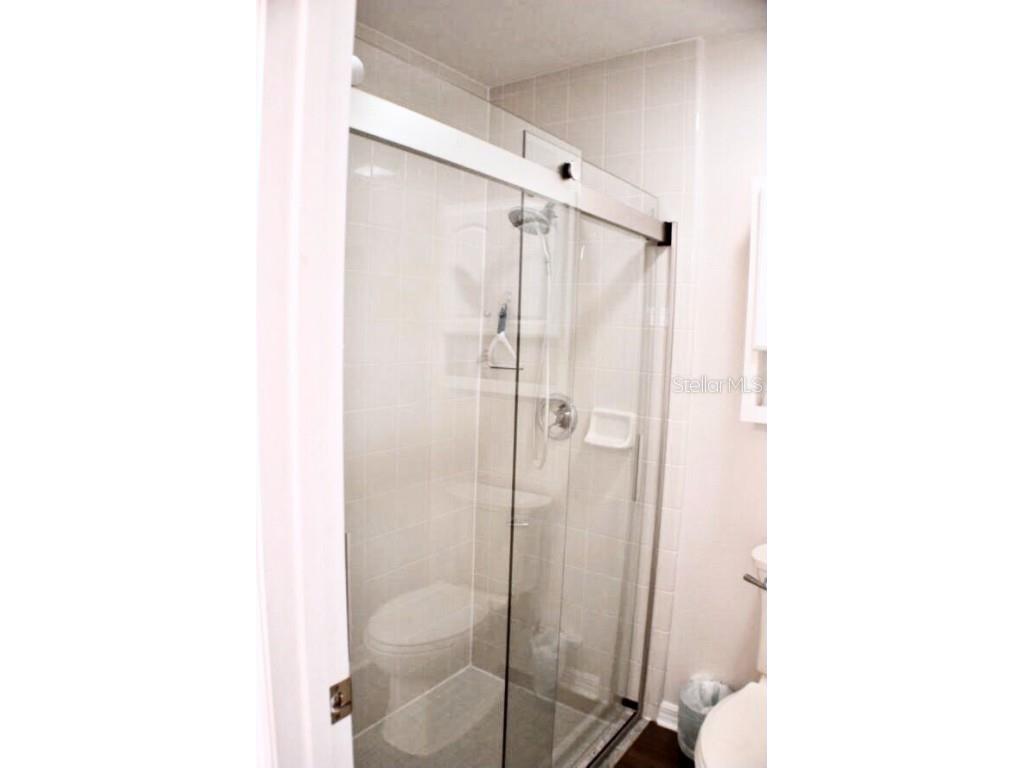 14917 Margaux Drive Clermont FL 34714 S5133503 image11