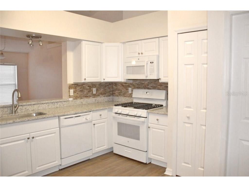 14917 Margaux Drive Clermont FL 34714 S5133503 image3