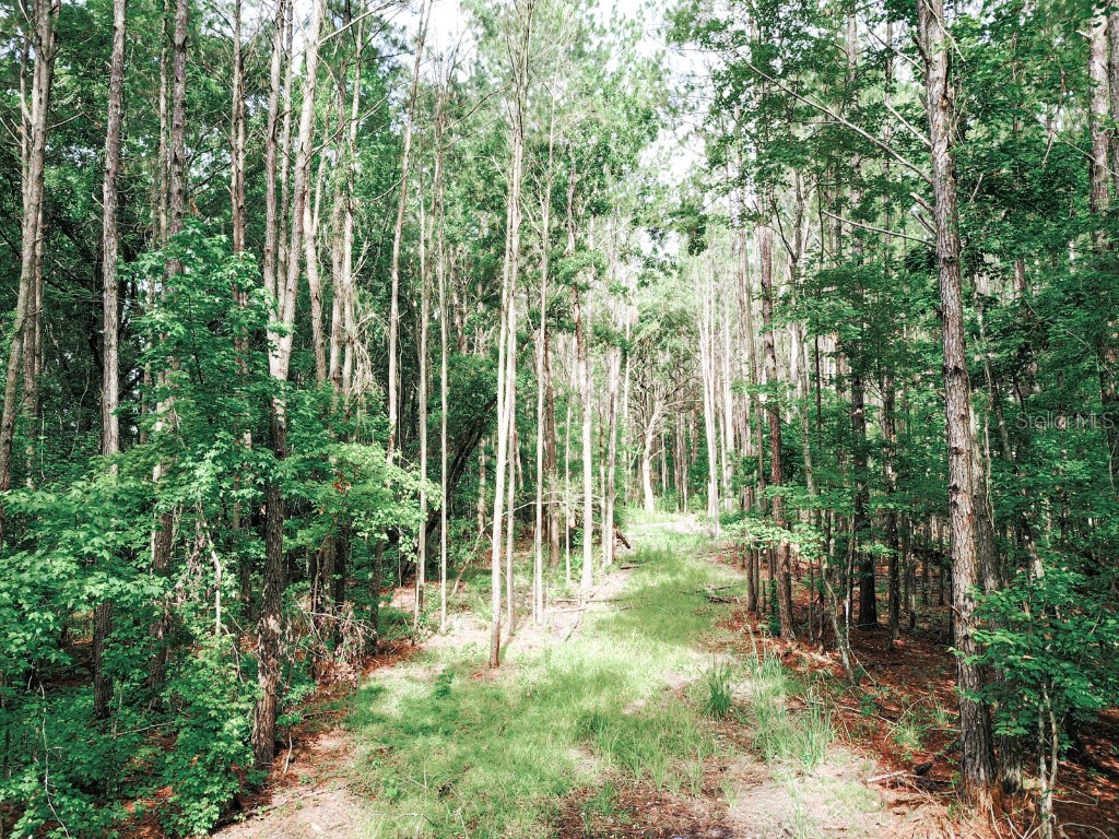 14917 NW County Road 237 Alachua FL 32615 GC532271 image22
