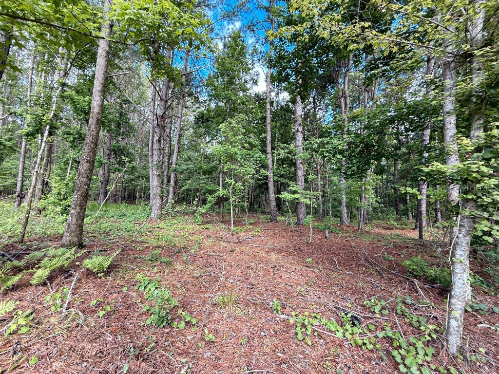 14917 NW County Road 237 Alachua FL 32615 GC532271 image23