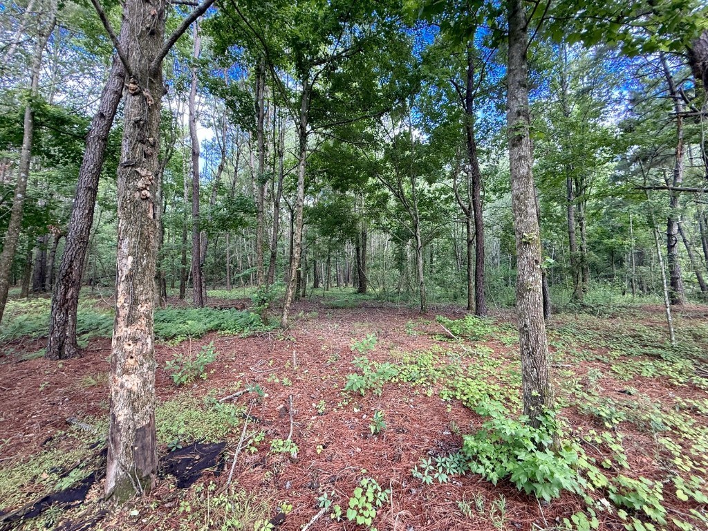 14917 NW County Road 237 Alachua FL 32615 GC532271 image24