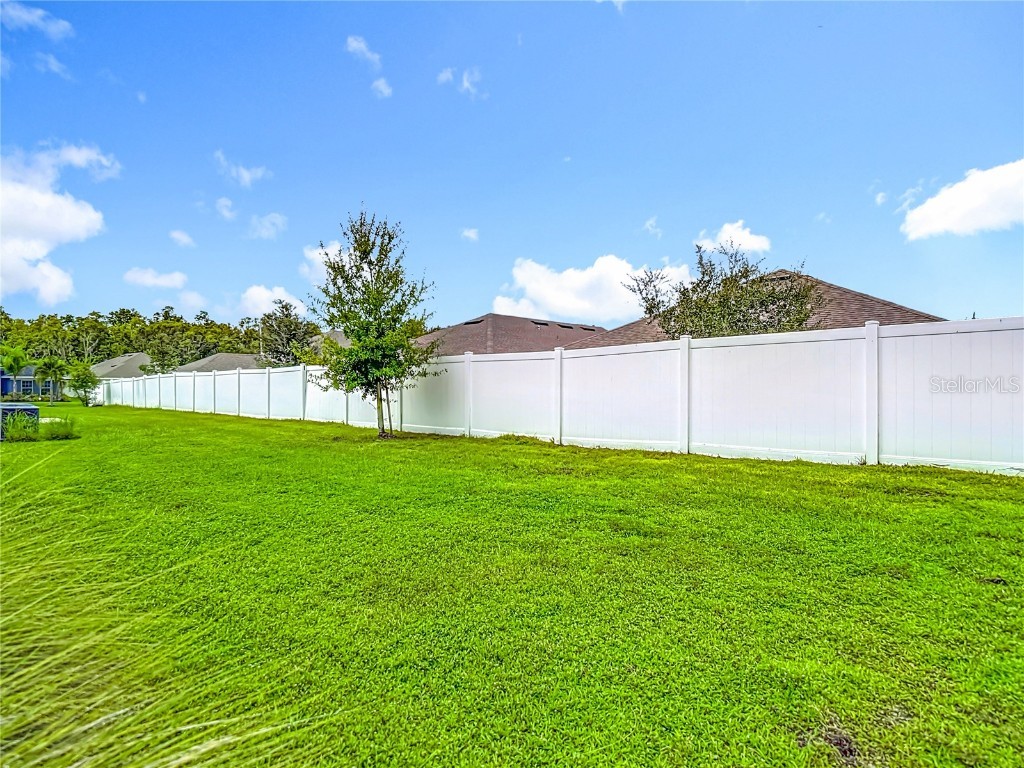 14917 Tropical Violet Way Wimauma FL 33598 O6339689 image58