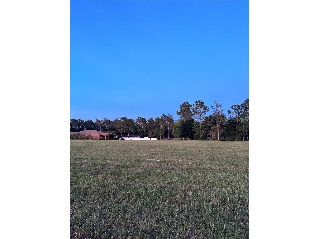 14918 Mim Place Dade City FL 33525 T3534788 image1