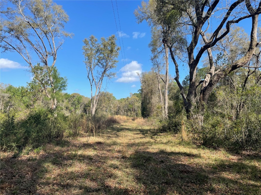 14918 SW 162nd Street Archer FL 32618 GC503153 image1