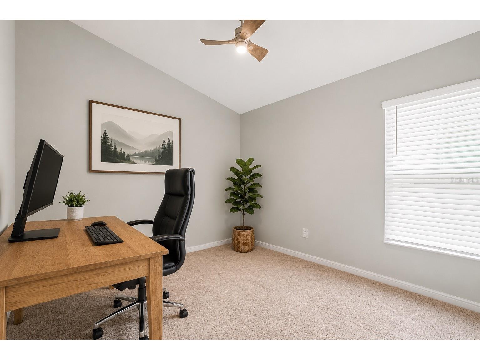 14919 Sterling Spur Avenue Lithia FL 33547 TB8506793 image14