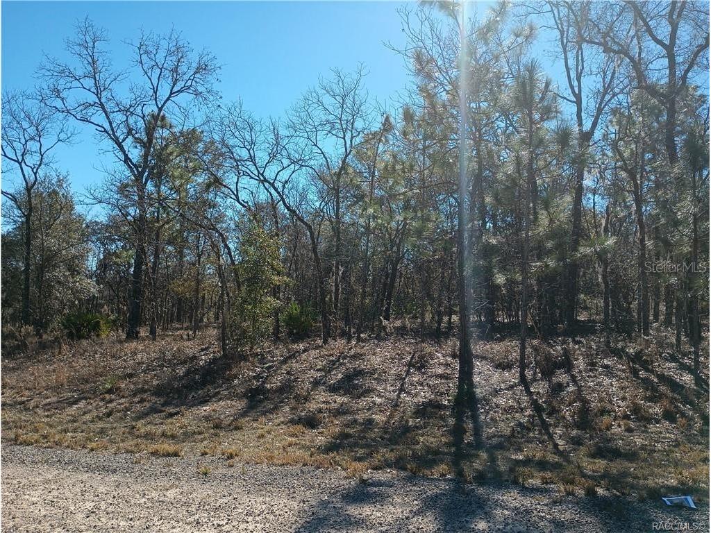 1492 W Pendleton Street Citrus Springs FL 34434 OM651885 image1