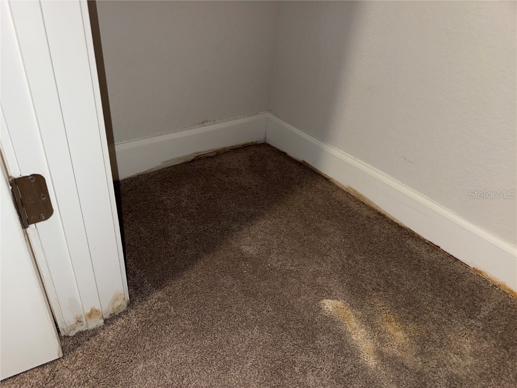 14921 Tropical Violet Way Wimauma FL 33598 A4666978 image21