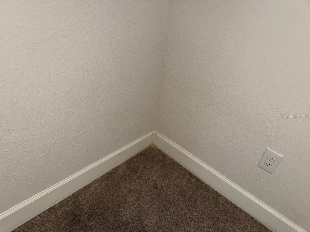 14921 Tropical Violet Way Wimauma FL 33598 A4666978 image22