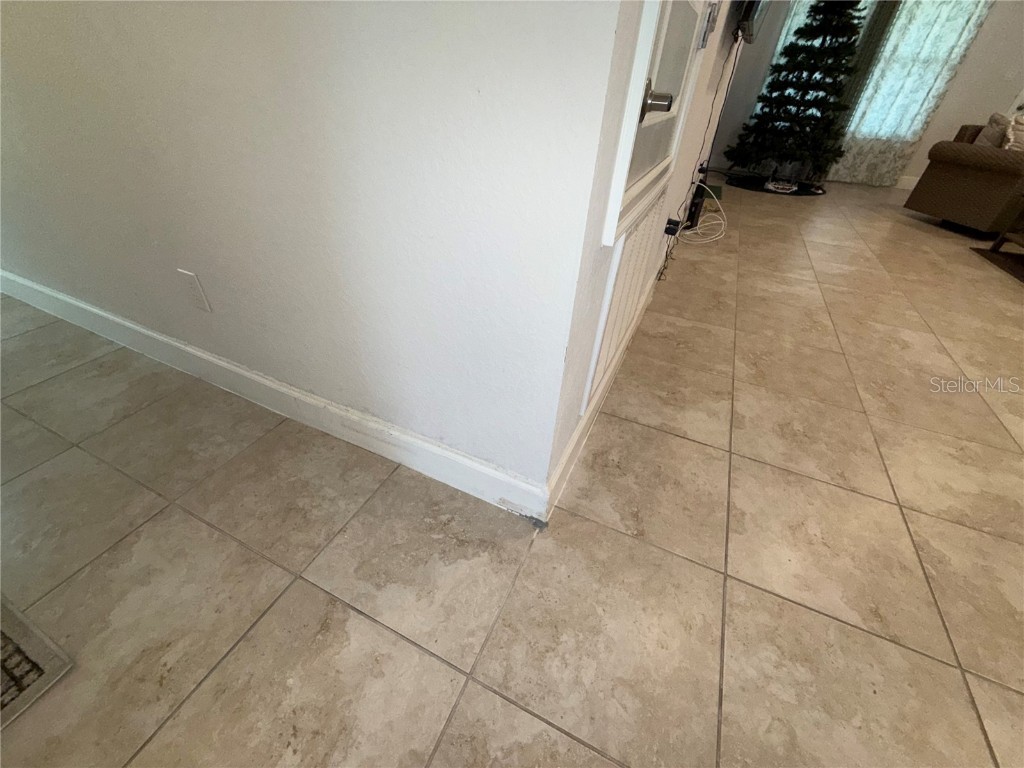 14921 Tropical Violet Way Wimauma FL 33598 A4666978 image32