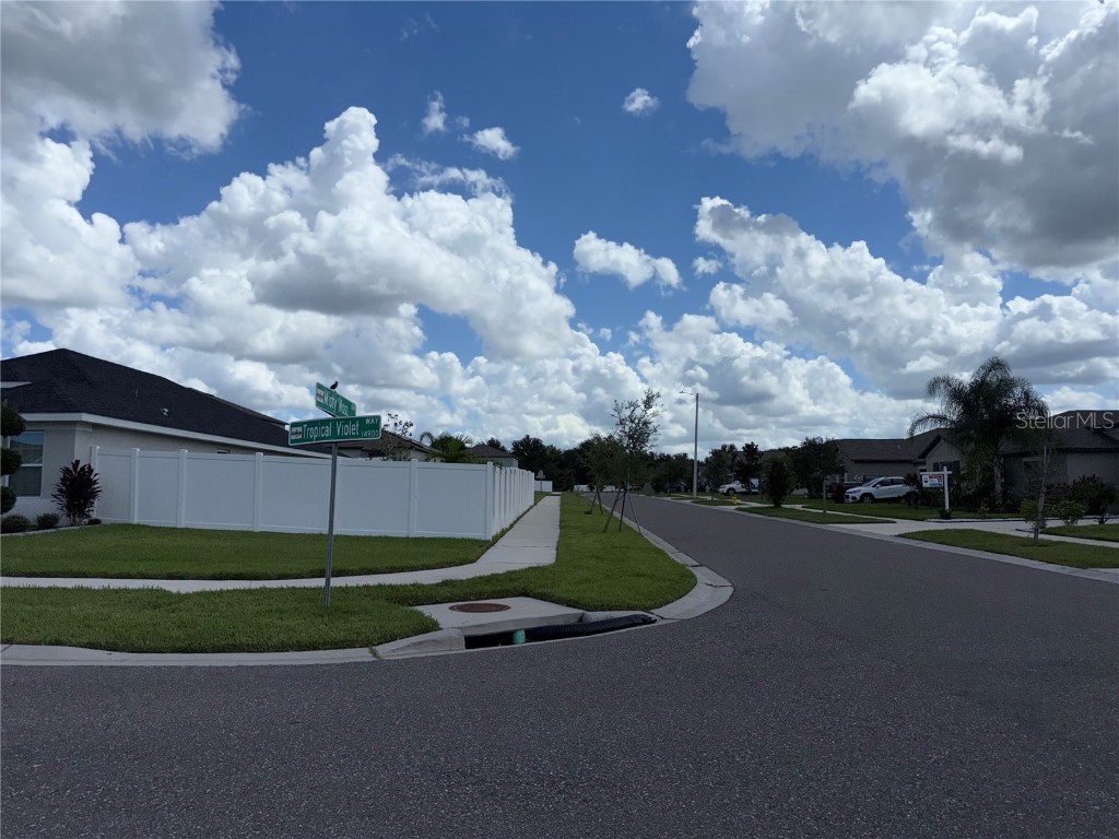14921 Tropical Violet Way Wimauma FL 33598 A4666978 image41
