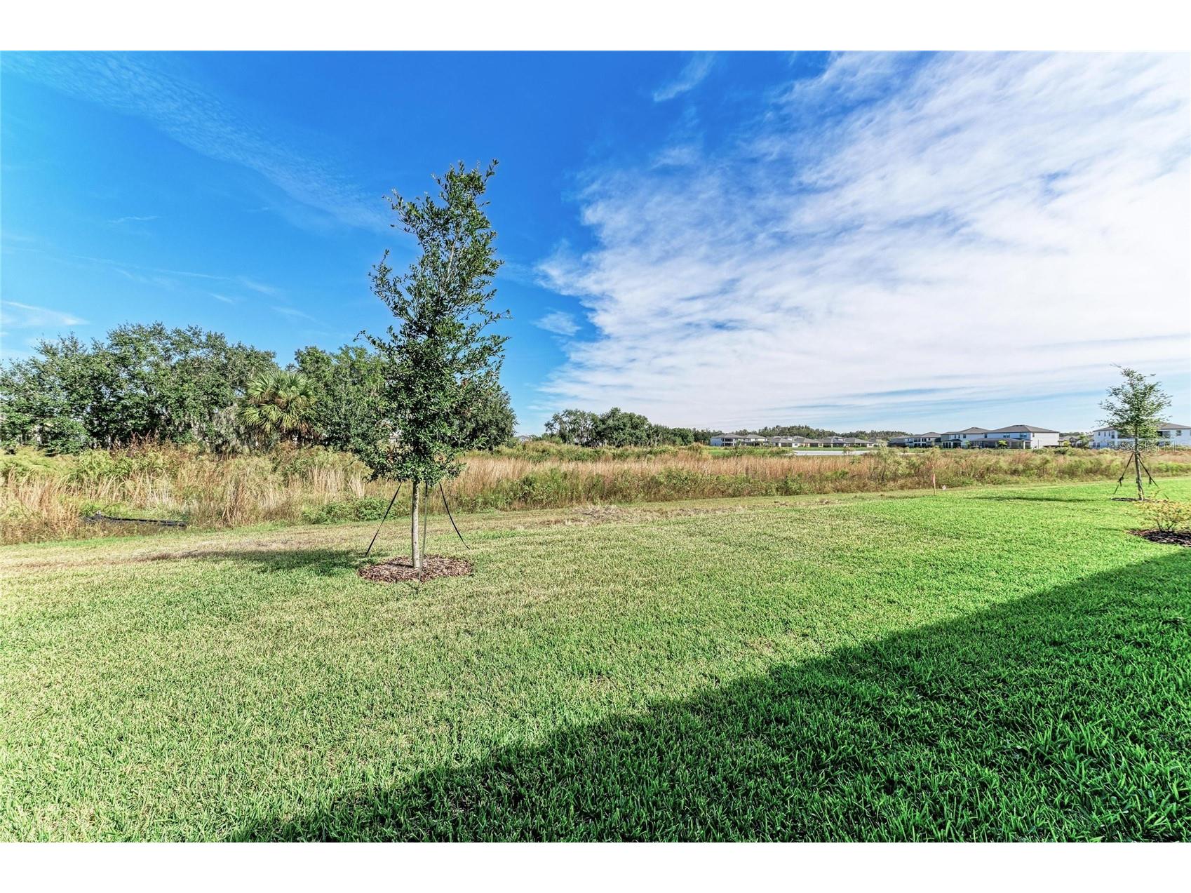 14924 Rider Pass Drive Lithia FL 33547 TB8447847 image34