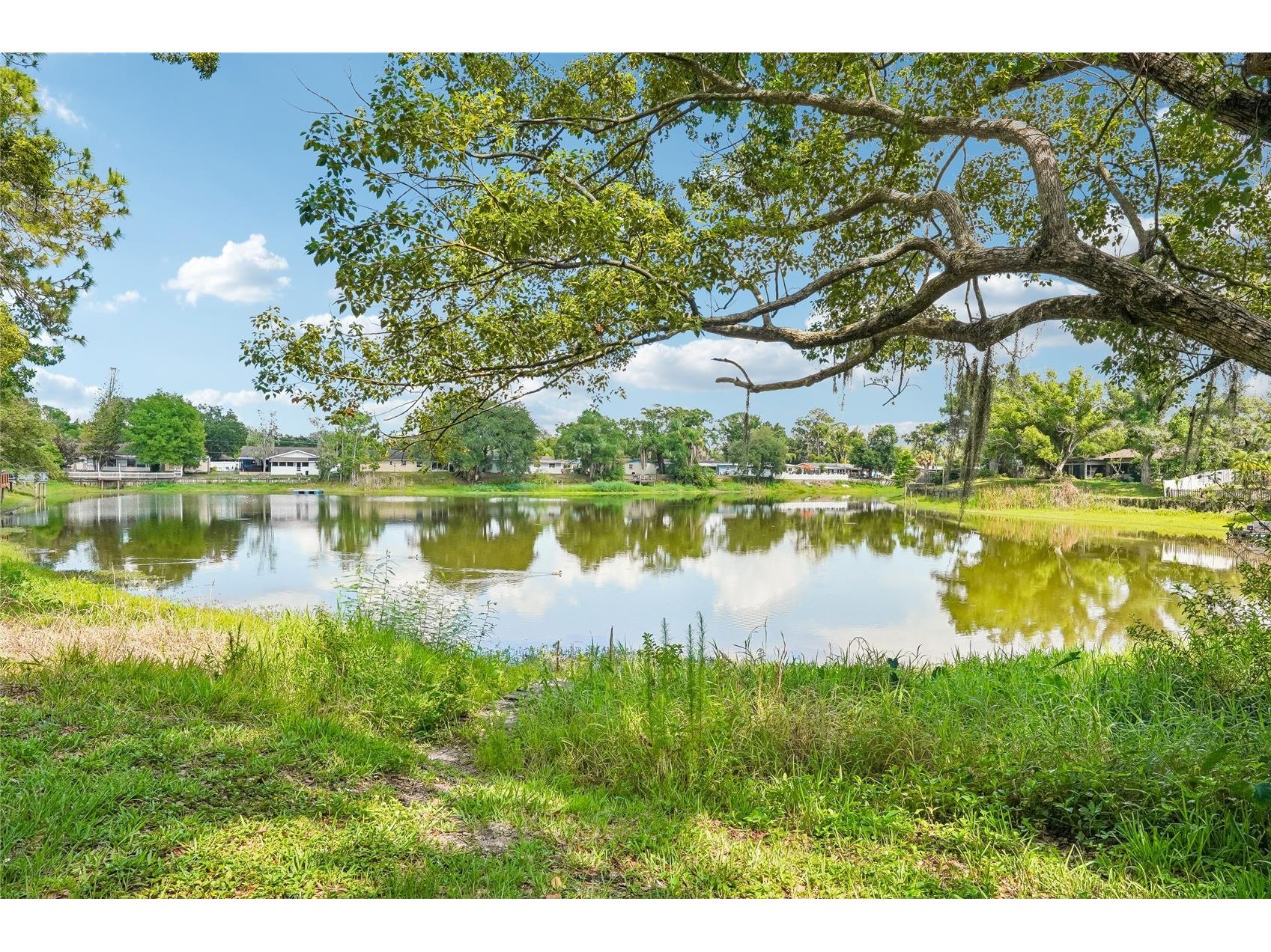 14927 Hardy Drive W Tampa FL 33613 TB8502655 image37