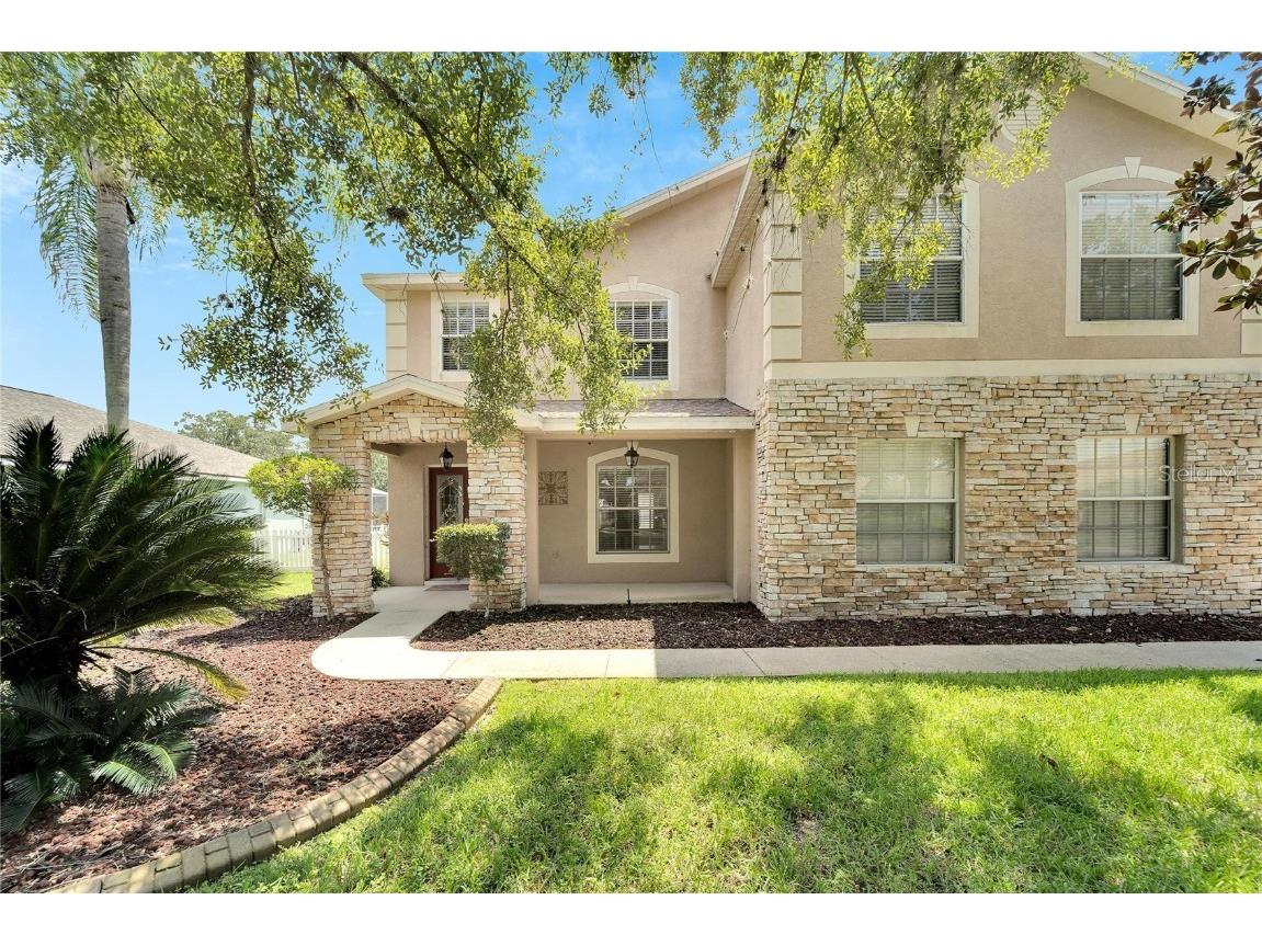 14927 Heronglen Drive Lithia FL 33547 T3468920 image1