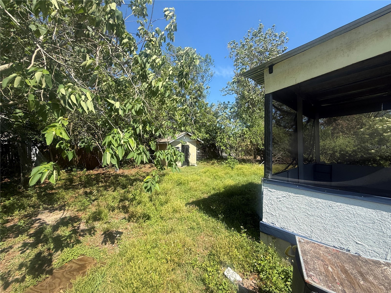 14928 Pinecrest Road Tampa FL 33613 TB8519831 image7