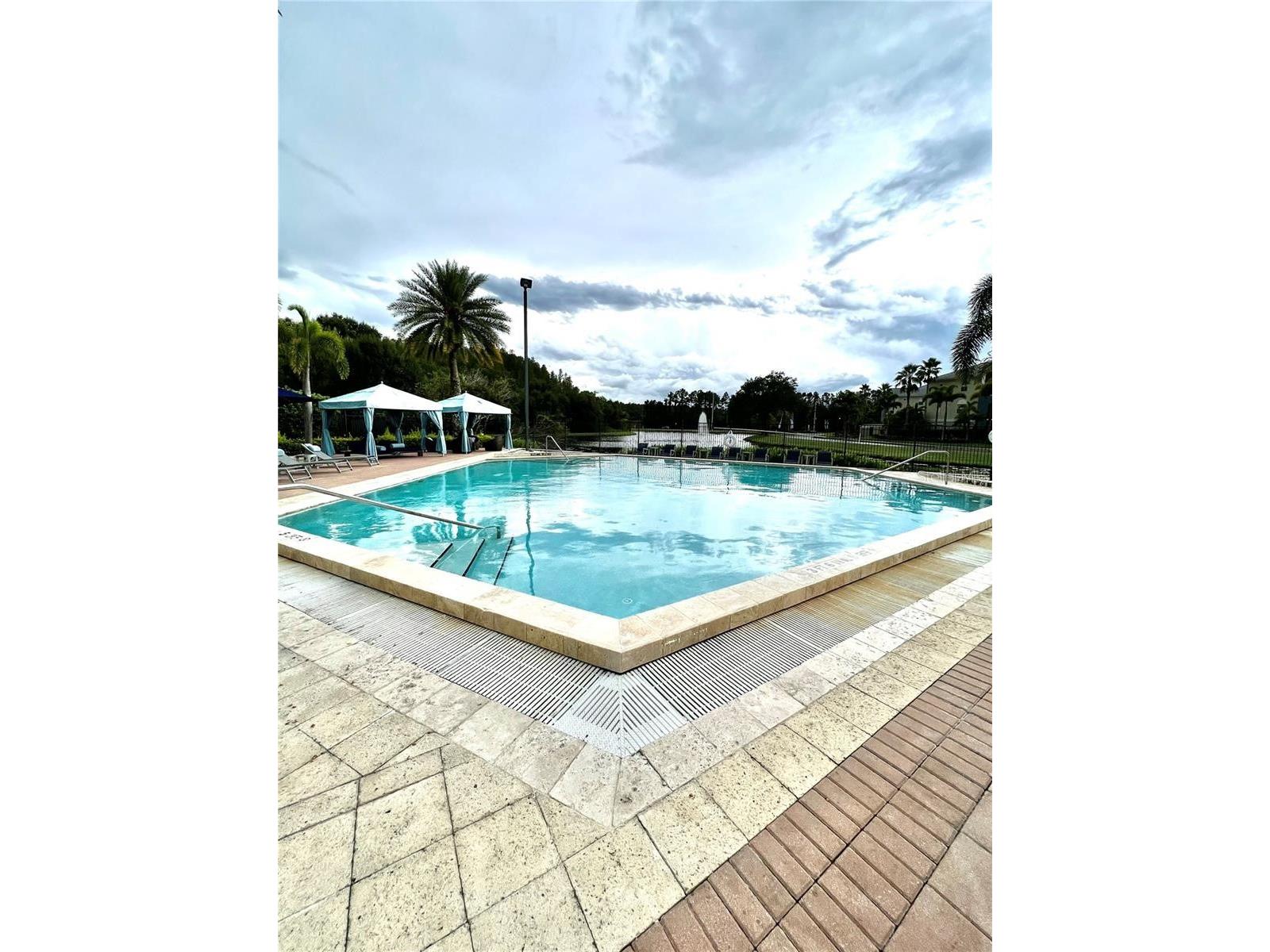 14929 Arbor Springs Circle #312 Tampa FL 33624 TB8516720 image5