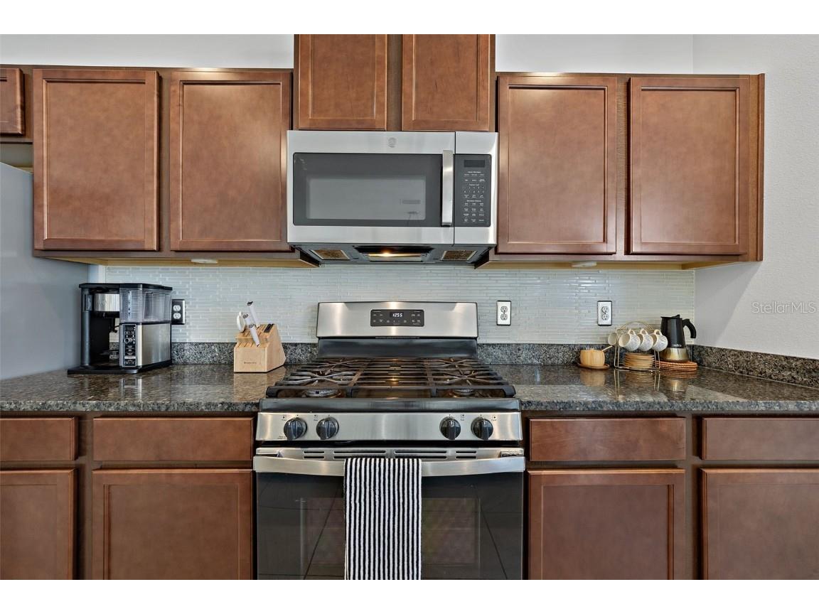 14929 Promenade Parkway Odessa FL 33556 TB8451606 image10