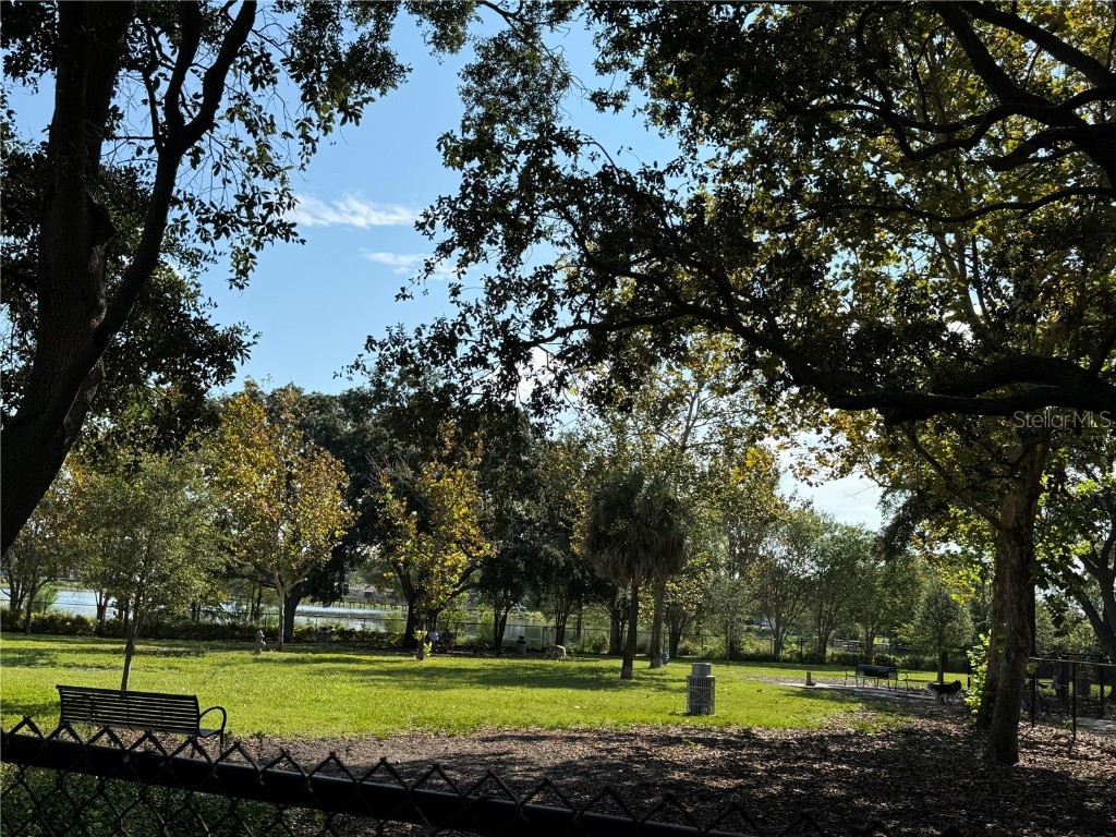 1493 Cleveland Street Clearwater FL 33755 TB8456383 image11