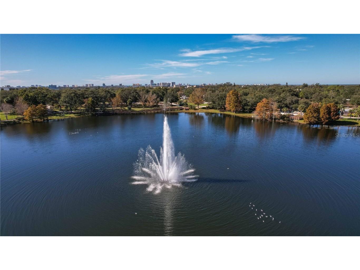 1493 Cleveland Street Clearwater FL 33755 TB8456383 image54