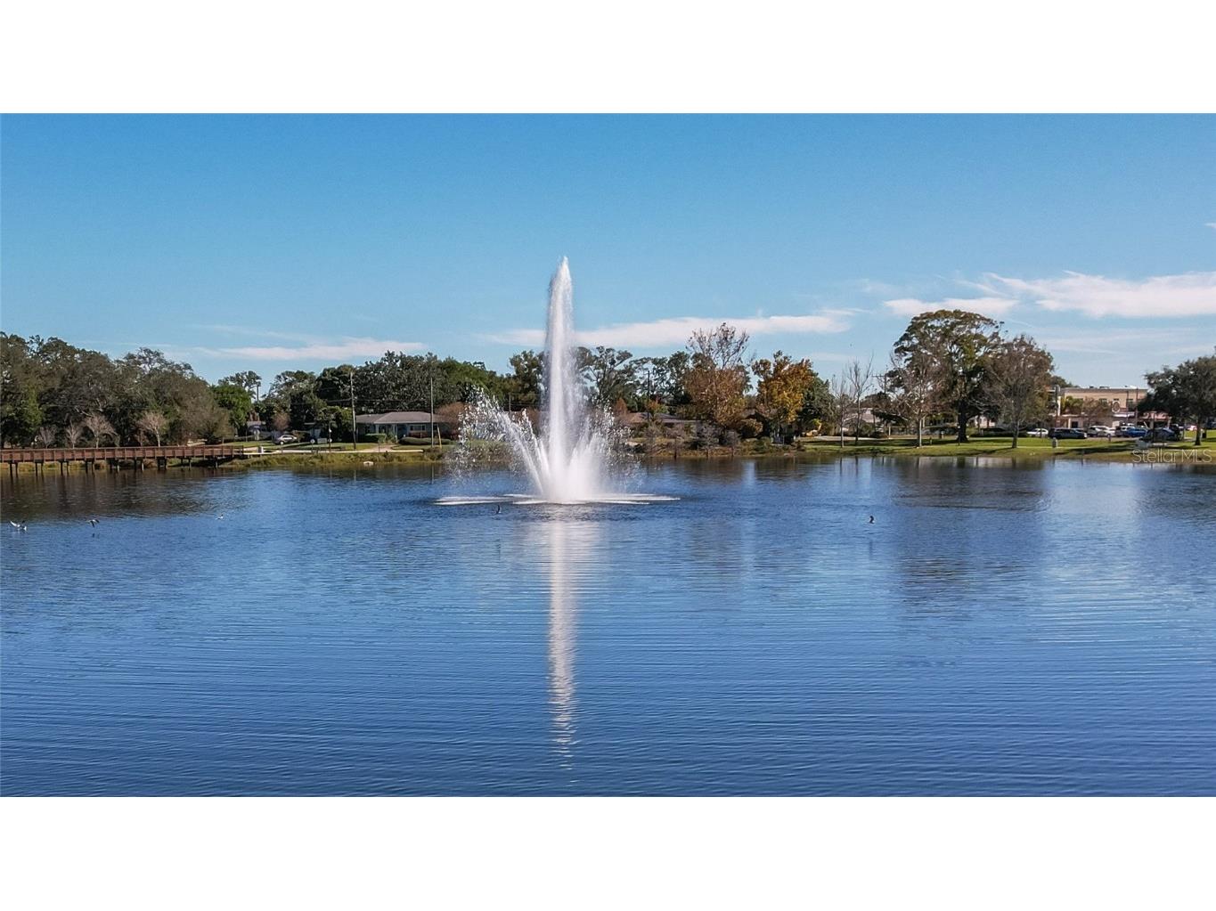 1493 Cleveland Street Clearwater FL 33755 TB8456383 image60