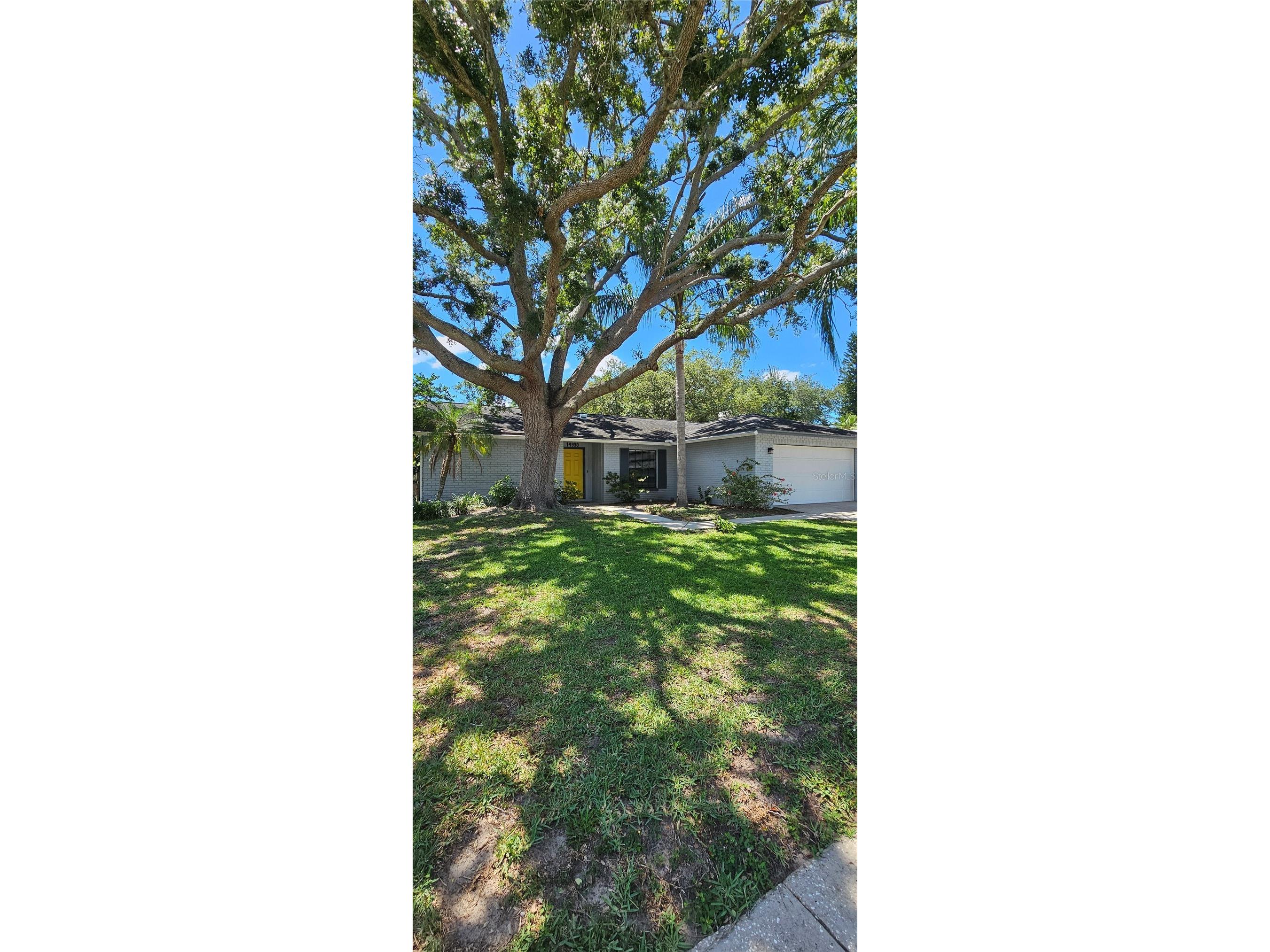 14930 Glasgow Court Tampa FL 33624 TB8507068 image11