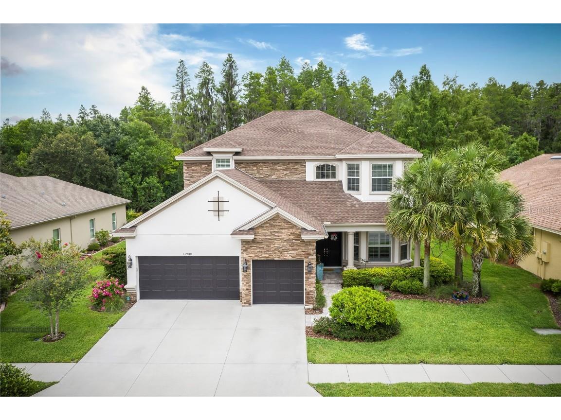 14930 Man O War Drive Odessa FL 33556 T3415288 image1