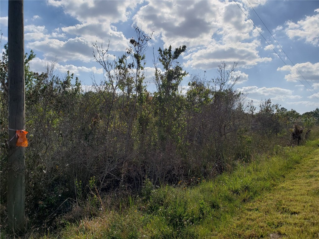 14930 NW 310th Street Okeechobee FL 34972 OK222657 image1