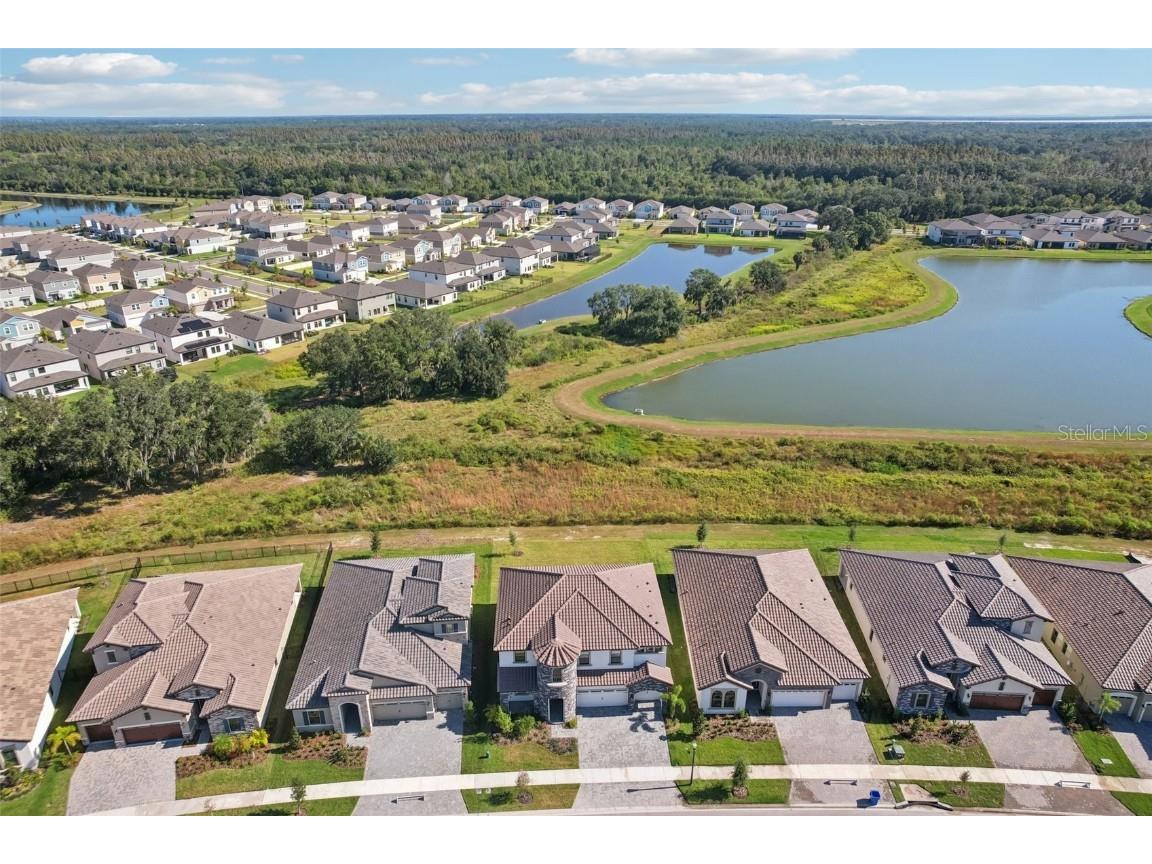 14930 Rider Pass Drive Lithia FL 33547 TB8440600 image53