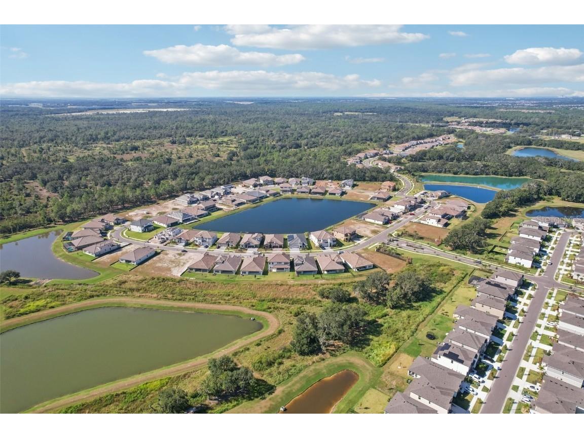 14930 Rider Pass Drive Lithia FL 33547 TB8440600 image61