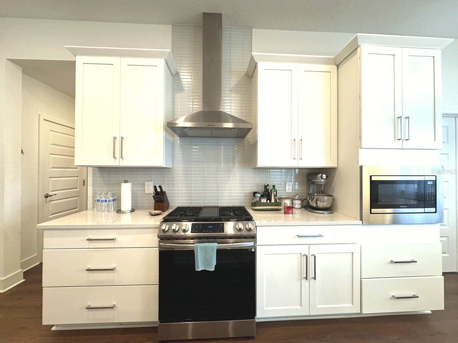 14931 Lebeau Loop Winter Garden FL 34787 O6422754 image31