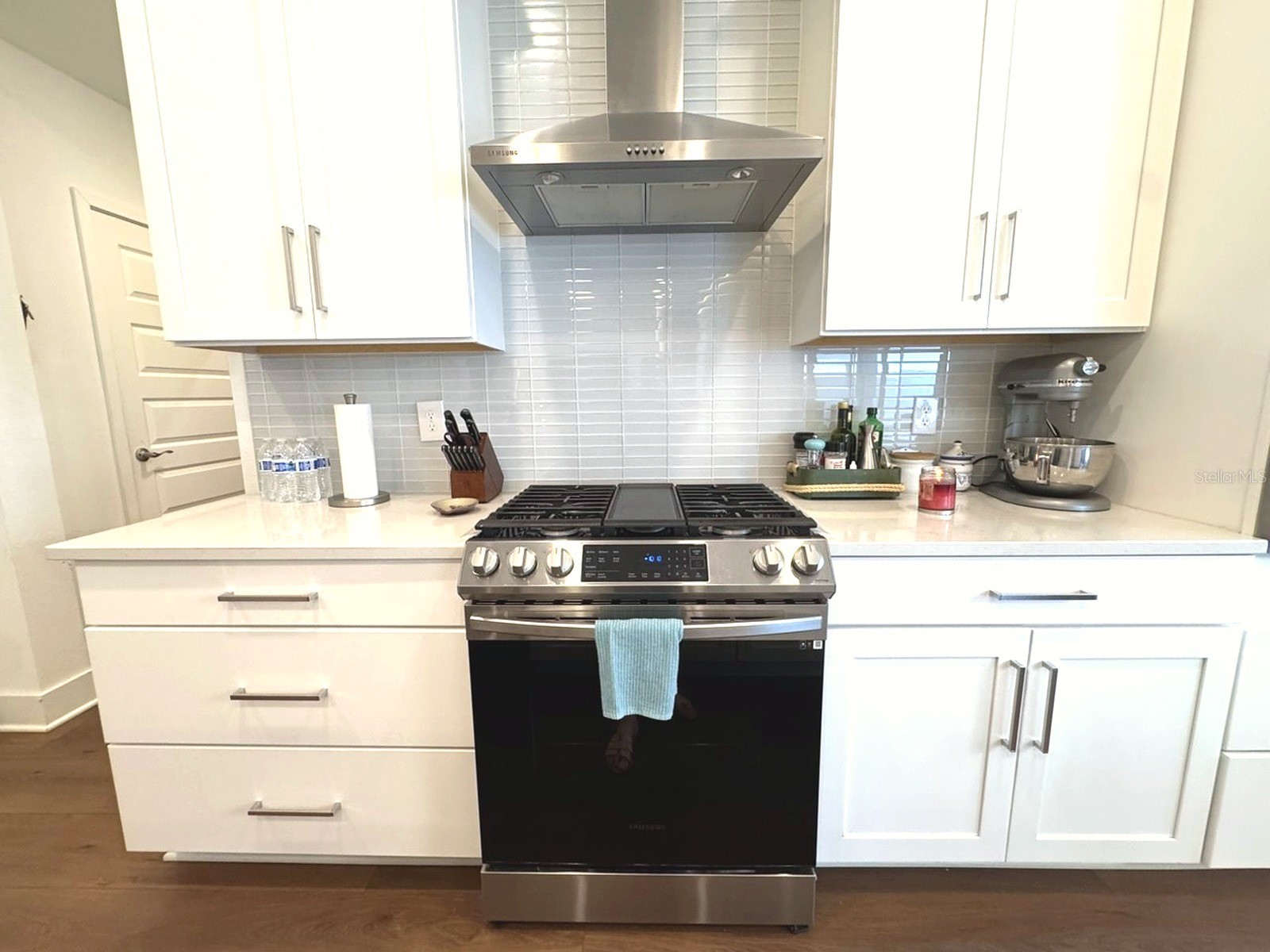 14931 Lebeau Loop Winter Garden FL 34787 O6422754 image35