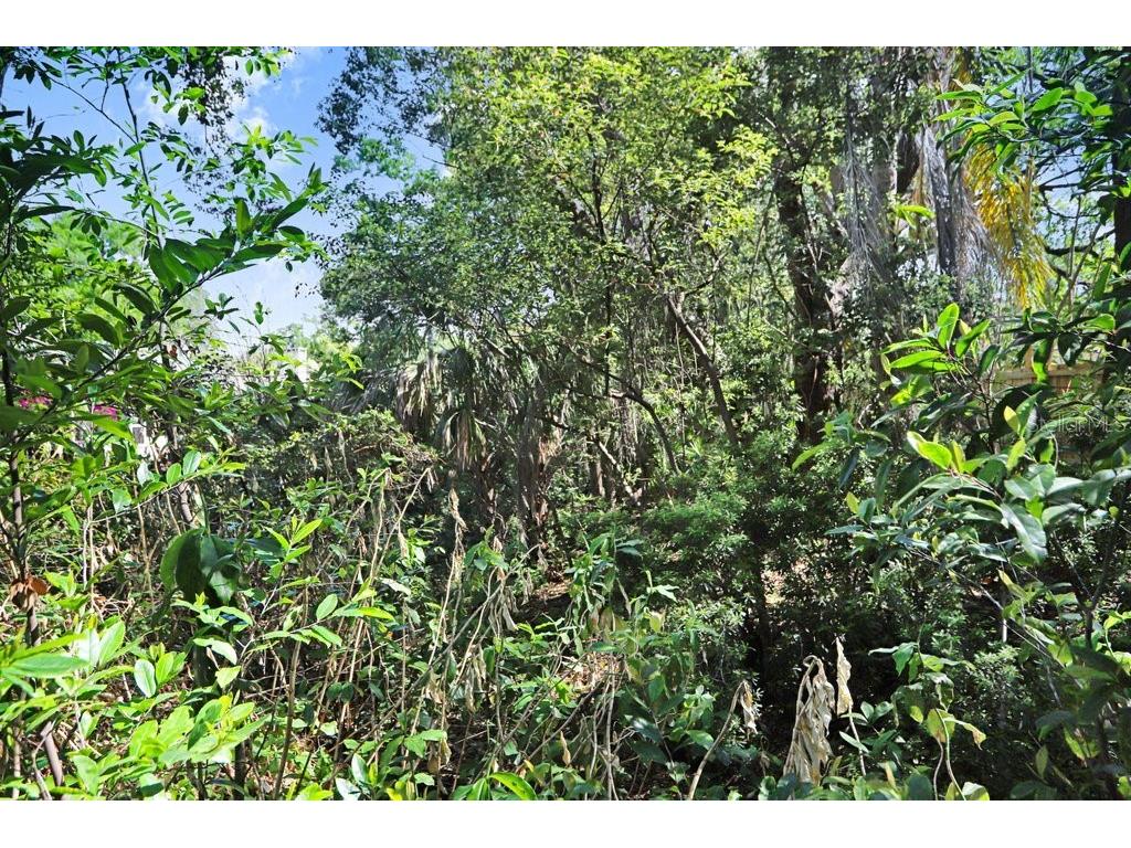 14931 Old Pointe Road Tampa FL 33613 TB8489444 image25
