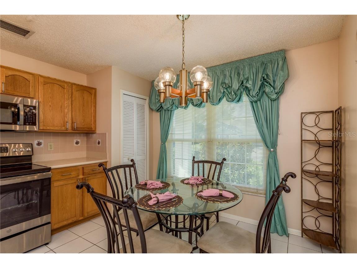 14931 Redcliff Drive Tampa FL 33625 TB8441526 image19