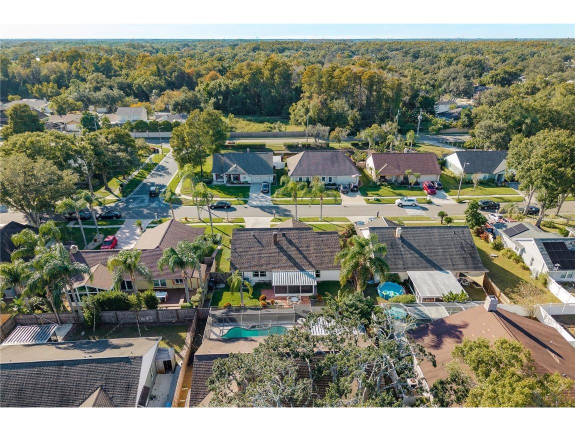 14931 Redcliff Drive Tampa FL 33625 TB8441526 image3