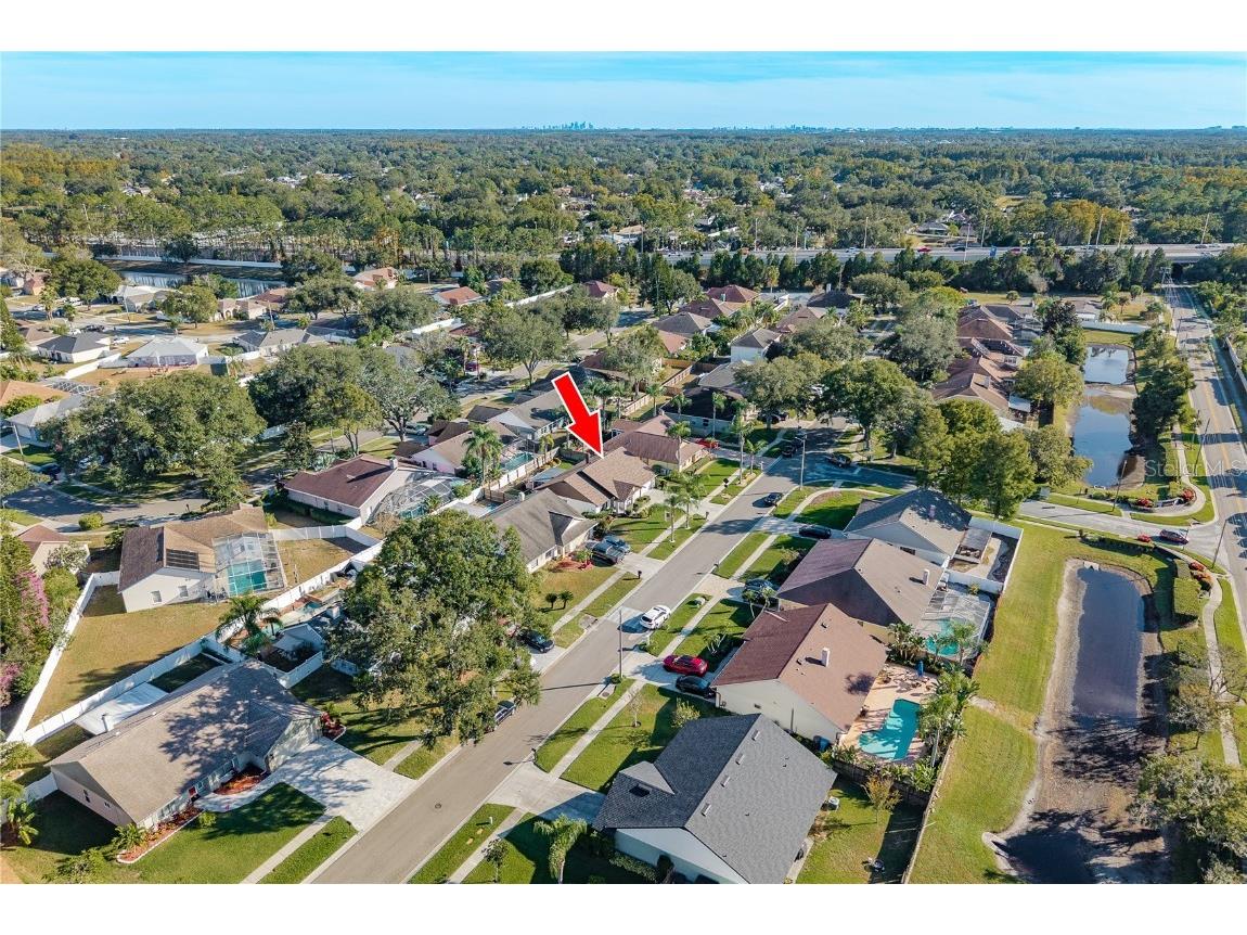 14931 Redcliff Drive Tampa FL 33625 TB8441526 image4