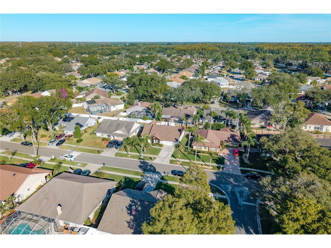 14931 Redcliff Drive Tampa FL 33625 TB8441526 image46