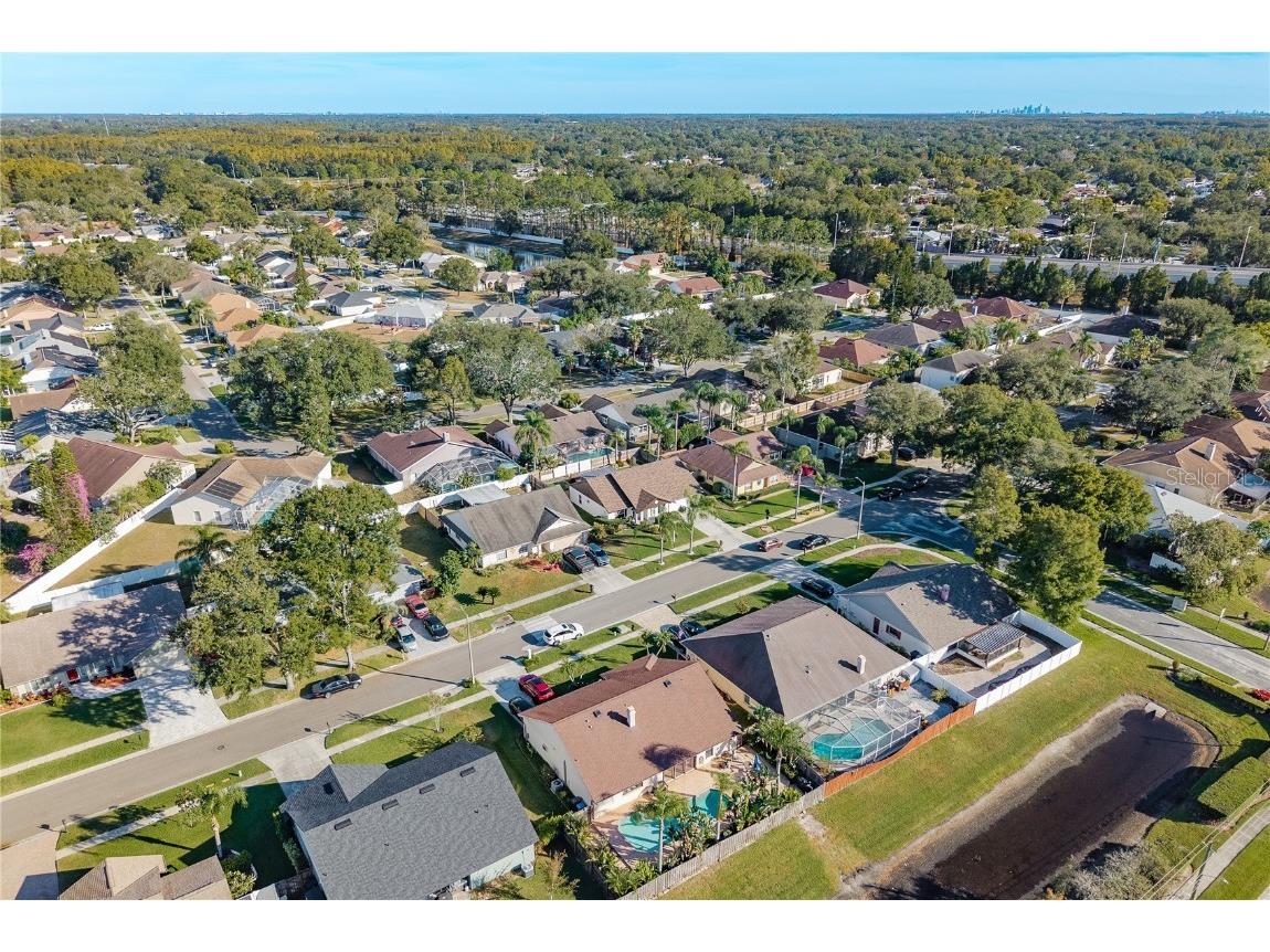 14931 Redcliff Drive Tampa FL 33625 TB8441526 image47