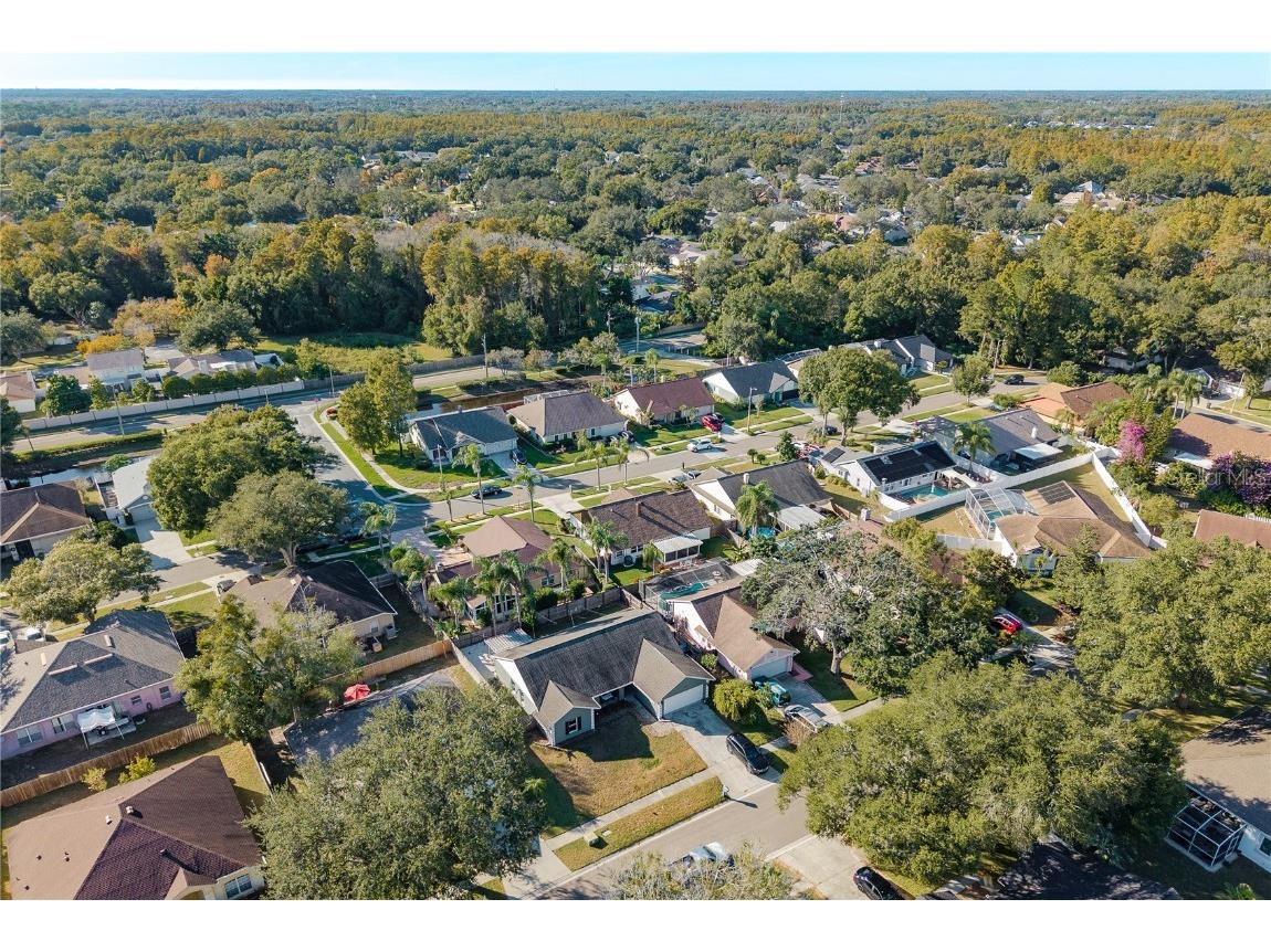 14931 Redcliff Drive Tampa FL 33625 TB8441526 image49